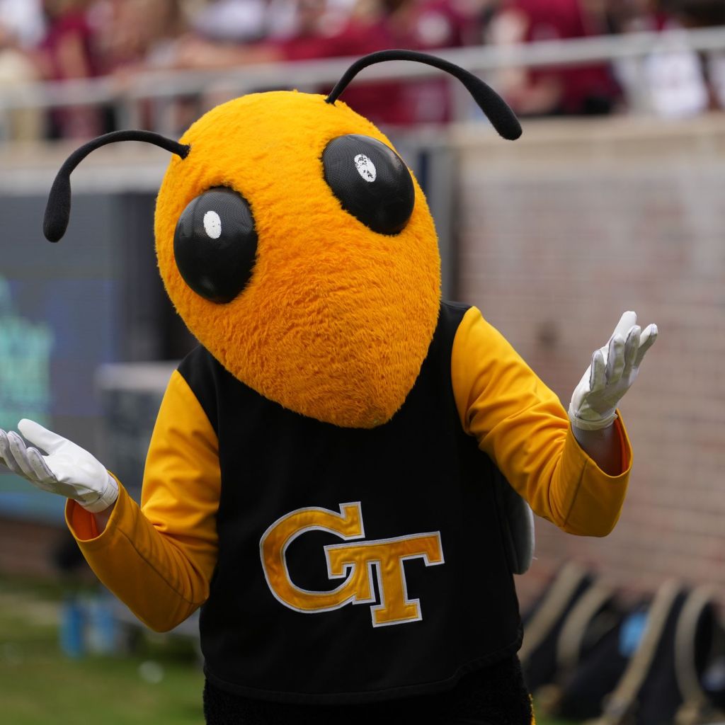 Buzz, the Georgia tech mascot shrugging his shoulders.