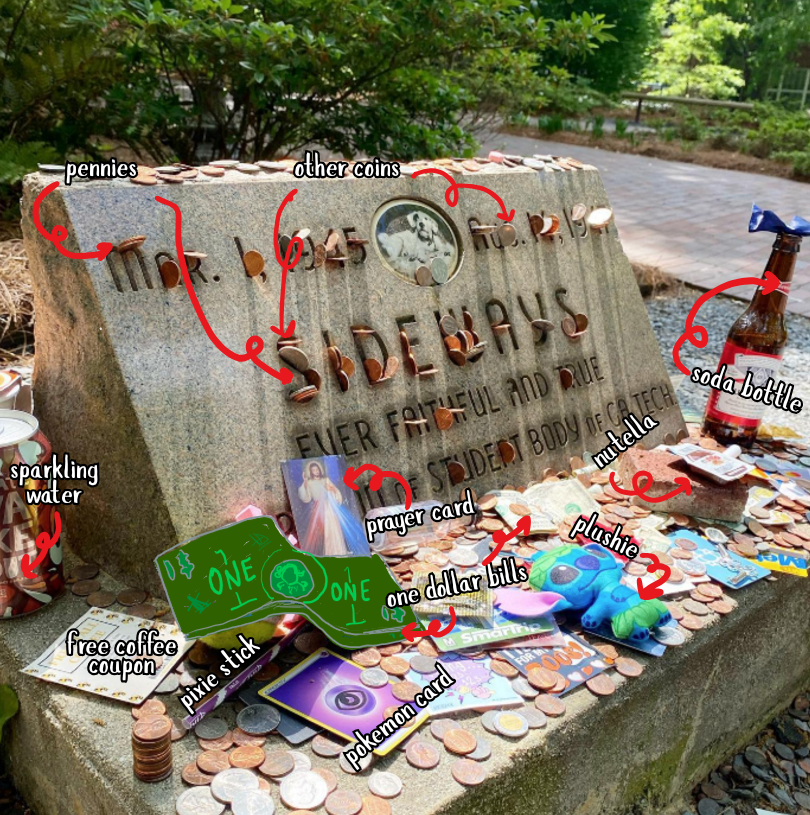 An annotated image of the Sideways grave. The image shows from top down, pennies, other coins, sparkling water, soda bottle, prayer card, Nutella, free coffee coupon, pixie stick, one dollar bills, plushie and a Pokémon card.