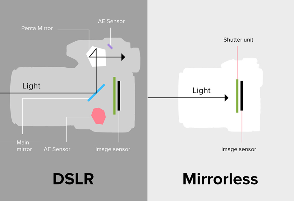 This image shows the internal differences between a Digital Single Lens Reflex or DSLR Camera, and a Mirrorless Camera. The DSLR has a mirror that bounces light coming in from the lens at an angle up and through a five sided penta mirror into the physical viewfinder. The right side displays the mirrorless camera, which cuts out the mirror system in favor for a direct light capture by the sensor.