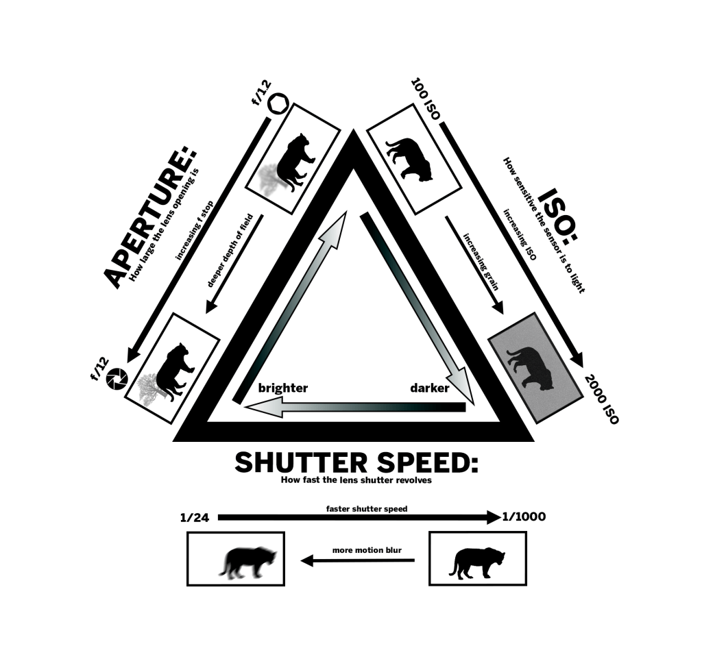 This infographic shows how maniuplating each of the exposure values of aperture, ISO, and shutter speed is associated with brightness, as well as depth of field, grain, and motion blur, respectively. As aperture f stop increases, depth of field increases and brightness decreases. As ISO increases, grain and brightness both increase. As shutter speed increases, motion blur and brightness decrease.