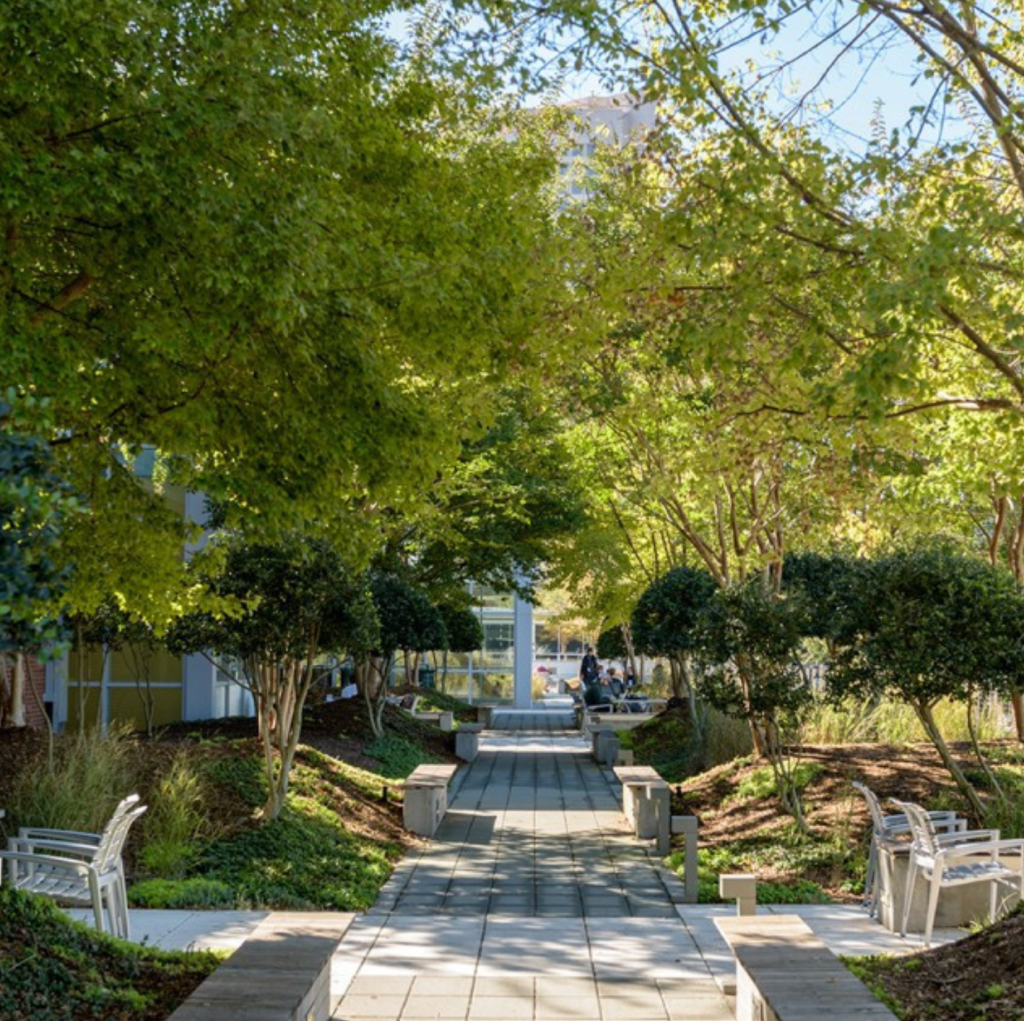 An image of the Clough rooftop garden with tables, greenery and tranquility.